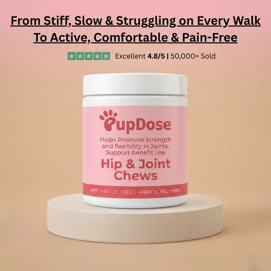 Hip & Joint Chews — Inflammation Relief & Long-Term Mobility for Dogs